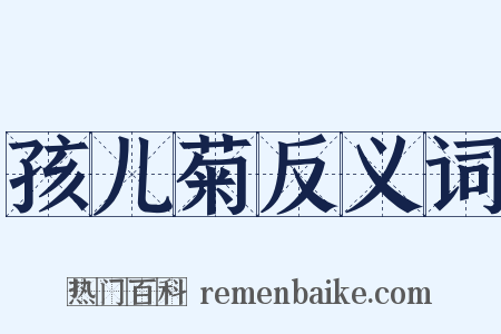 孩儿菊反义词是什么意思的图片